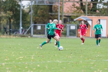 Bild 435 - F SV Farnewinkel-Nindorf - IF Stjernen Flensborg : Ergebnis: 0:1